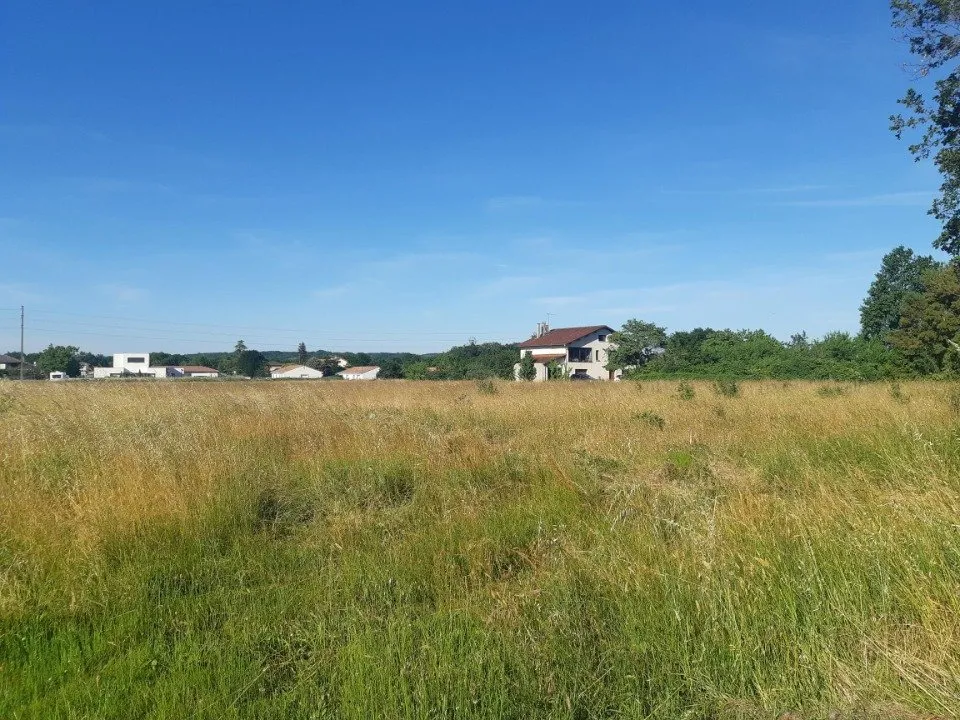 Jardin - Maison Contemporaine à Construire à Lavaur