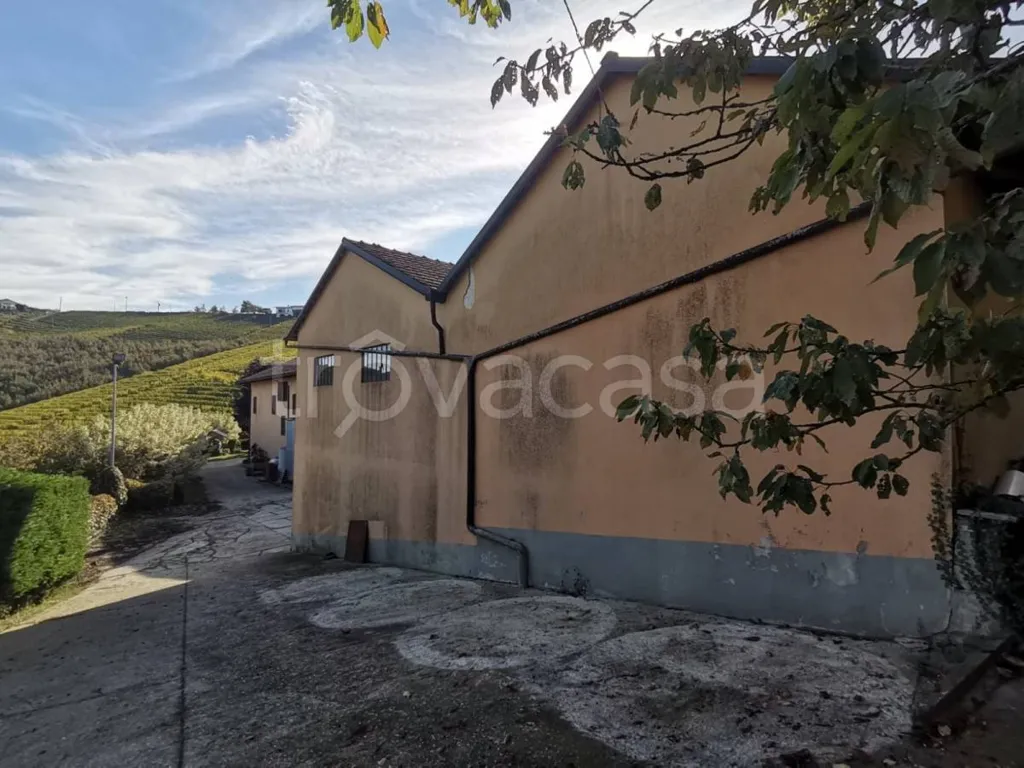 Extérieur - Cascina with Vineyard View near Alba