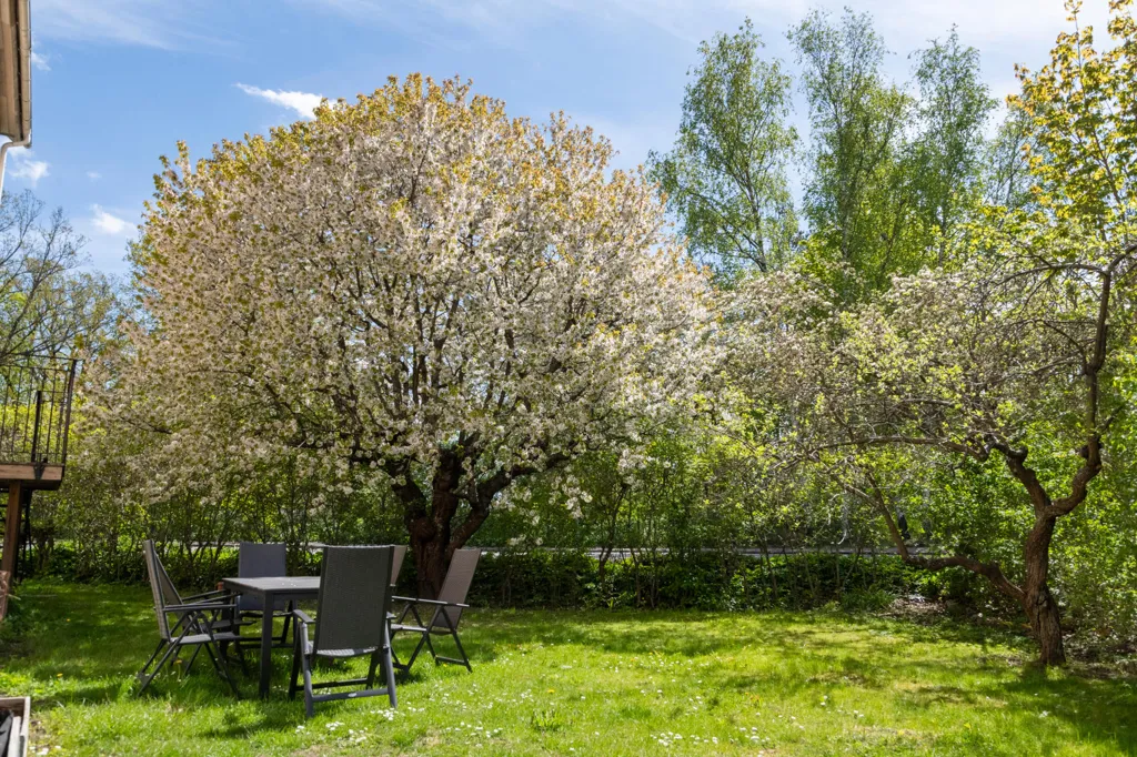Jardin - Stylish Apartment in Liseberg's Idyllic Area