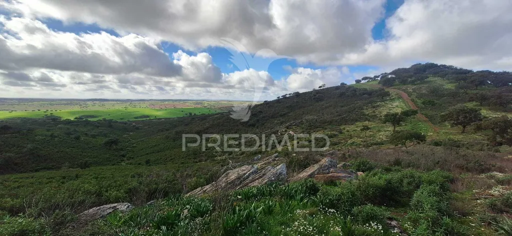 Garten - 34-Hectare Herdade with Expansion Potential in Alandroal