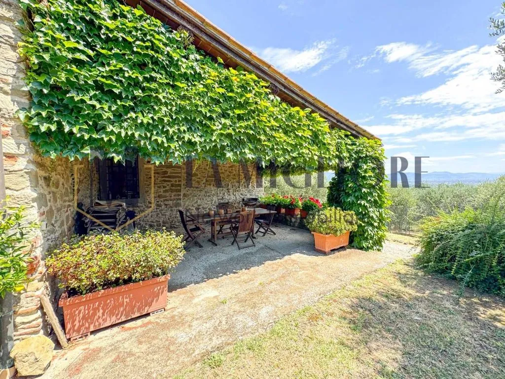 Terrasse - Rustic Villa with Olive Grove in Serravalle Pistoiese