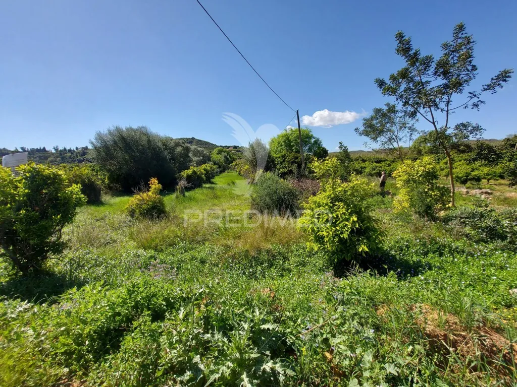 Garden - Agricultural Land with Water Source in Silves