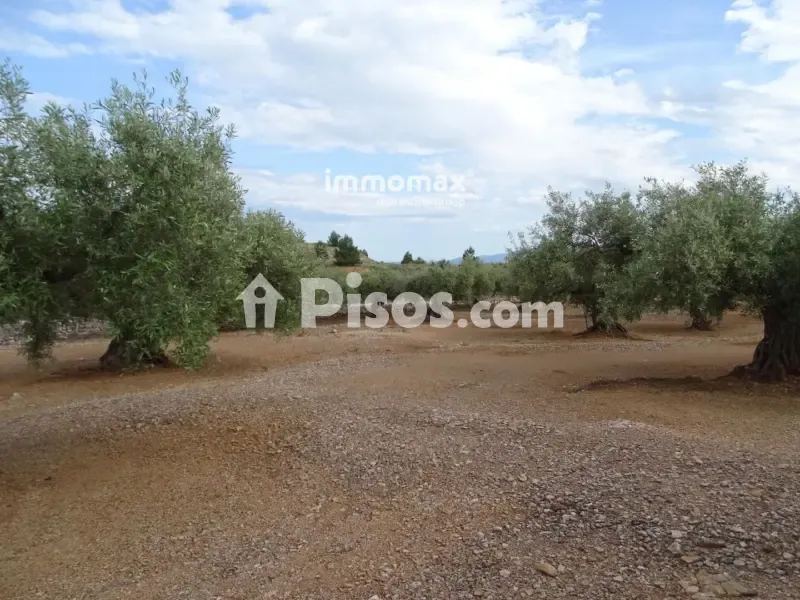Aed - Rustic Farm with Olive Grove in Xerta