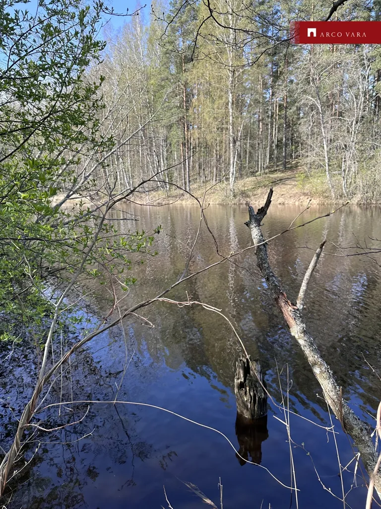 Aed - Unbuilt Plot with Riverfront in Rannapungerja