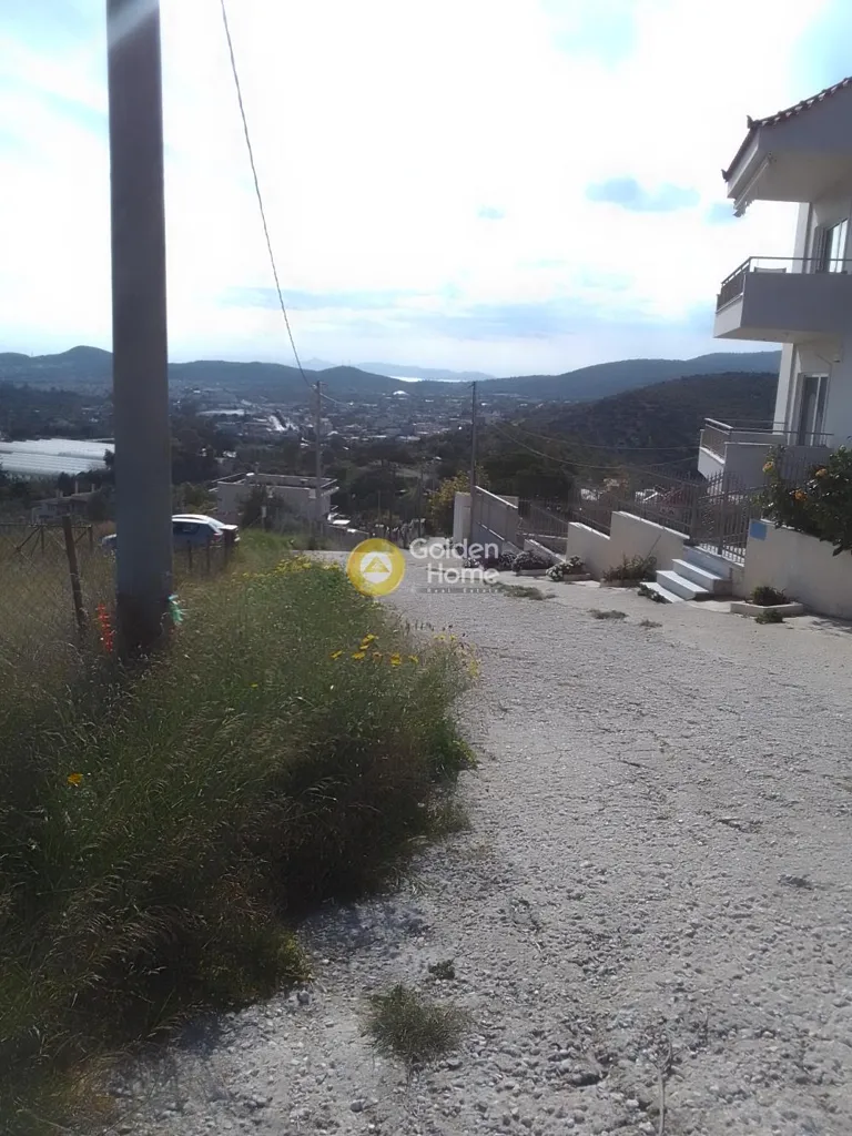 Giardino - Agricultural Plot with Sea View in Kifissia