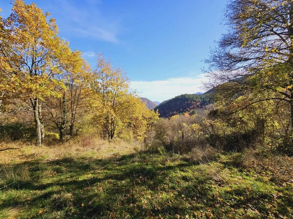 Jardin - Maison Luxueuse avec Vue Montagne à Axat