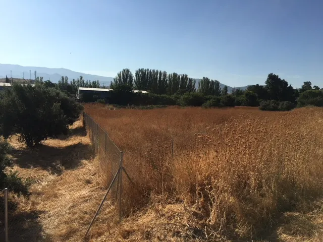 Aed - Land Parcel in Alhendín, Granada