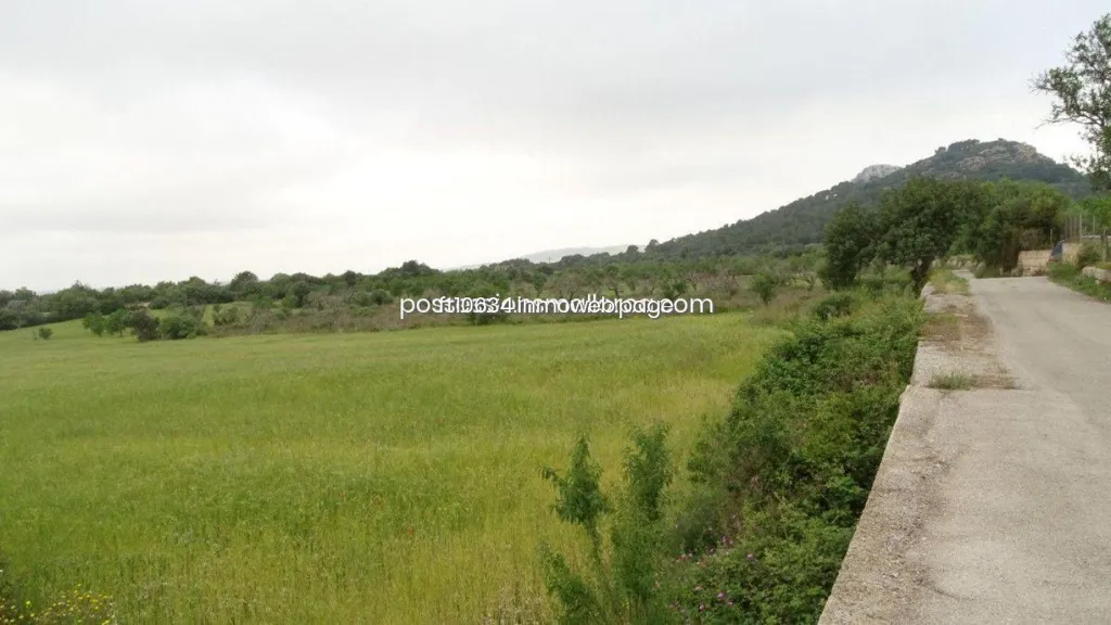 Garden - Rustic Plot with Panoramic Views in Llucmajor