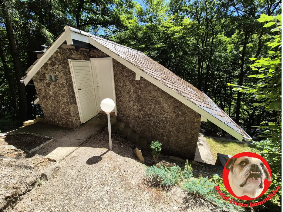 Extérieur - Chalet avec Jardin et Vue sur Rivière à Dirbach