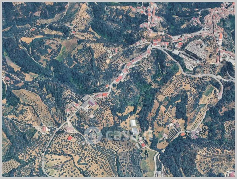 Vista aerea - Olive Mill with Frantoio in Bisignano