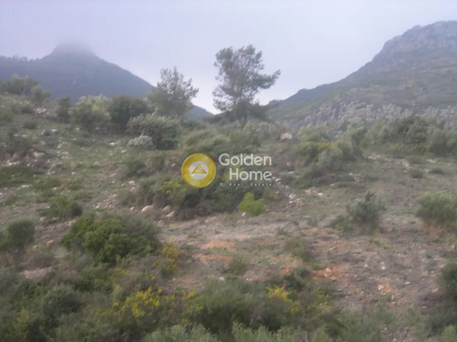 Aed - Agricultural Plot with Sea and Forest Views in Vasilikos