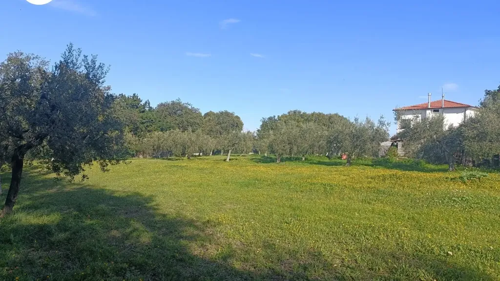 Aed - Villa with Panoramic View in Vasto