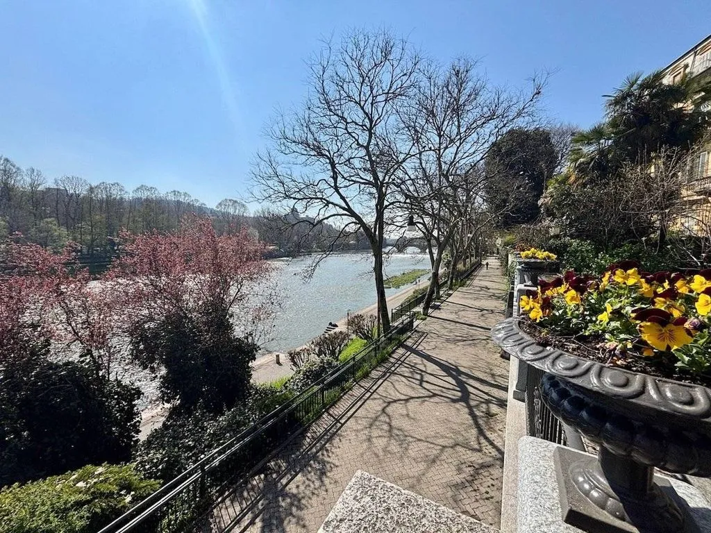 Luxury Flat with River View in Turin