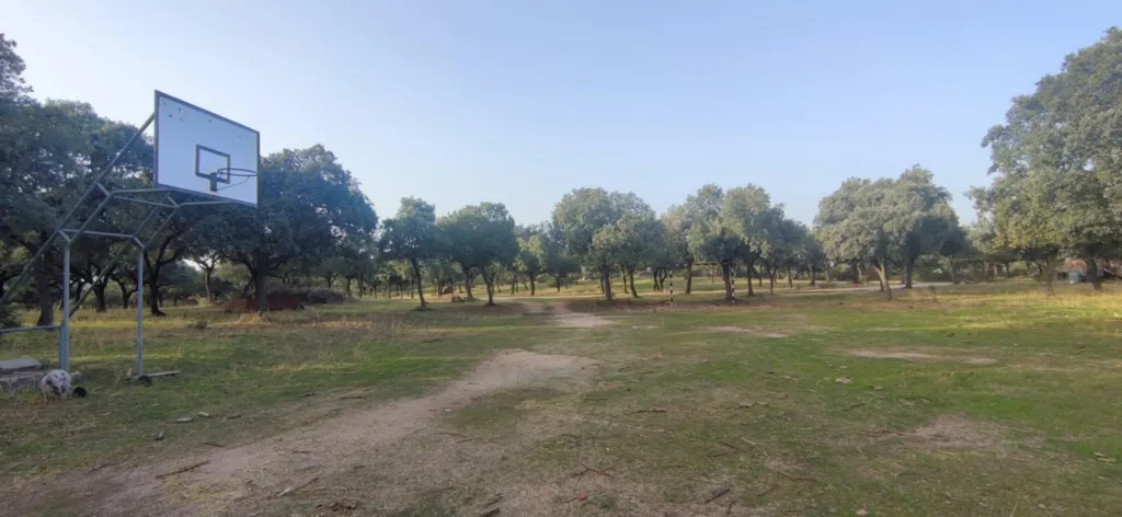 Jardin - Rustic Plot with Views in Galapagar