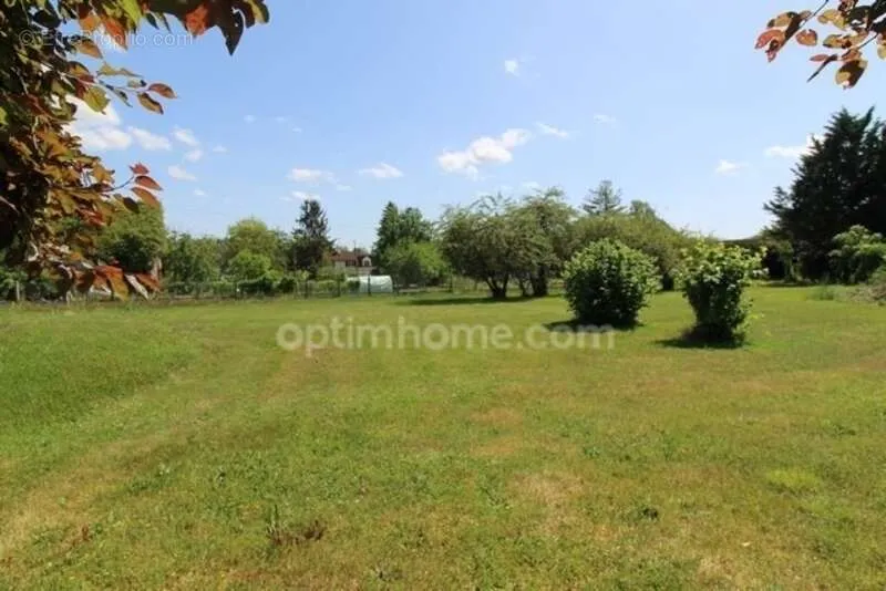 Jardin - Terrain Plat à Bâtir dans le Montois