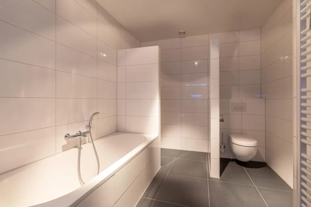 Vannitoad - Penthouse with Rooftop Terrace in Haaksbergen