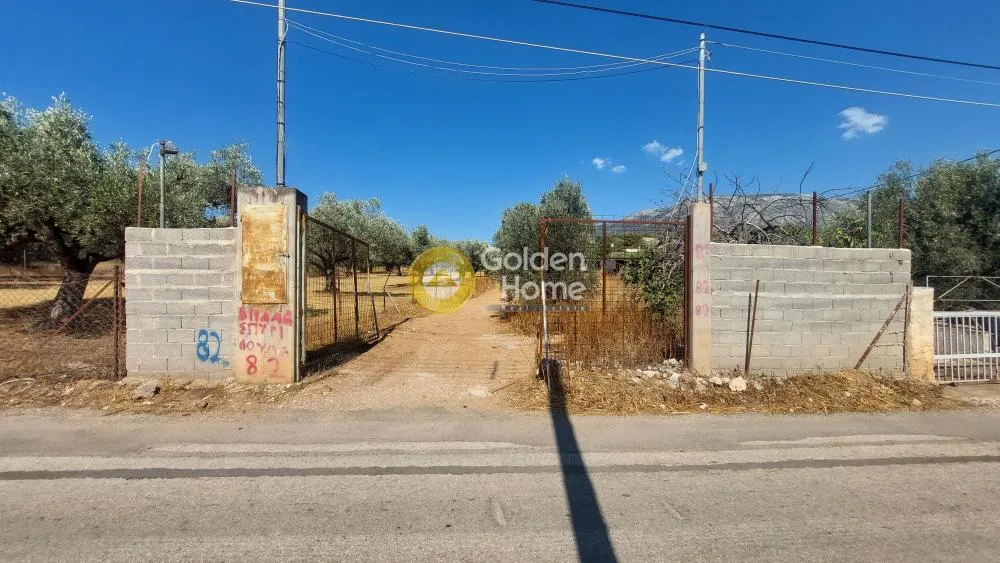 Aed - Warehouse with Storage in Koropi - Karelles