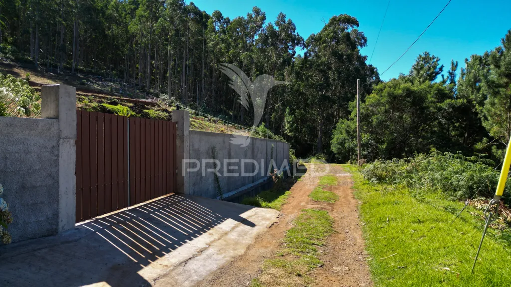 Jardin - Terrain à Santa Cruz