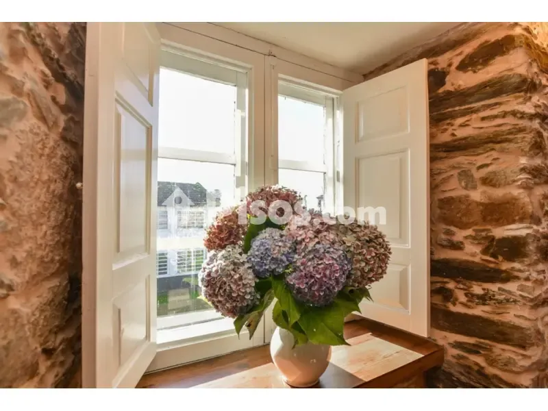 Toad - Historic House with Garden in Dexo