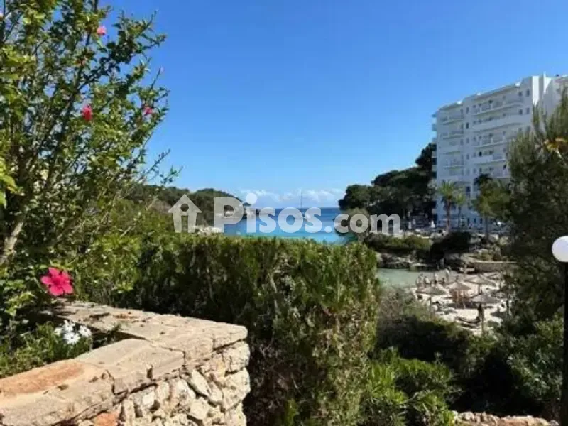Terrasse - Ground Floor Apartment with Sea View in Cala Ferrera