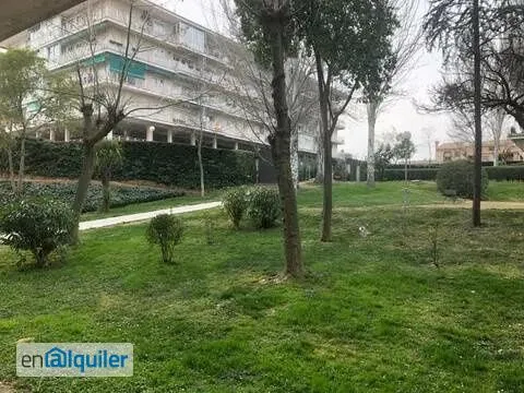 Aed - Large Flat with Terrace in Coimbra, Móstoles