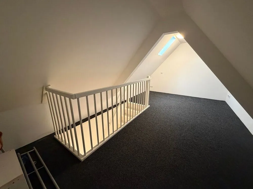 Toad - Five-Room Apartment with Shared Terrace in Vught