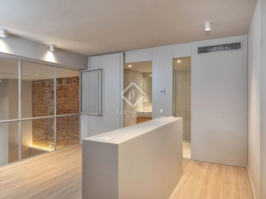 Entrée - Penthouse in Renovated Palace, Girona