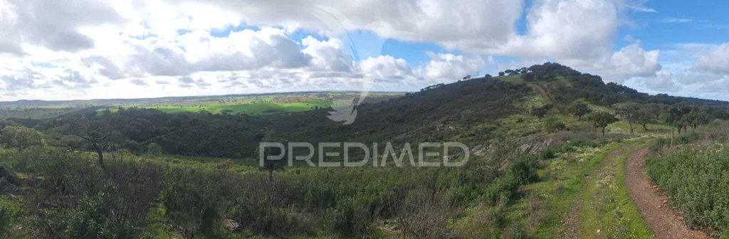 Garten - 34-Hectare Herdade with Expansion Potential in Alandroal
