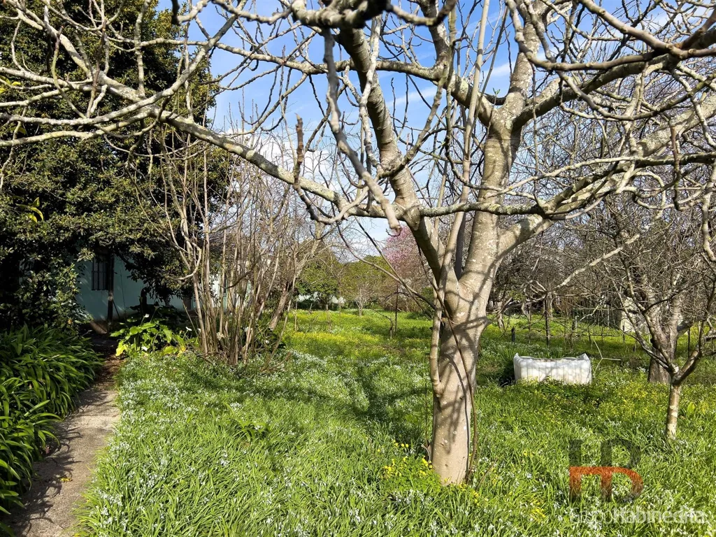 Jardin - Contemporary Villa with Pool in Vila Nova de Gaia