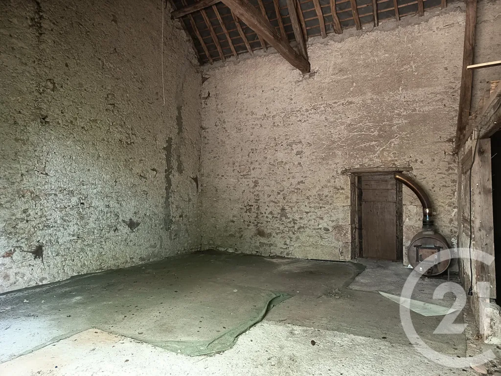 Toad - Rustic Stone House with Garden in Cravant