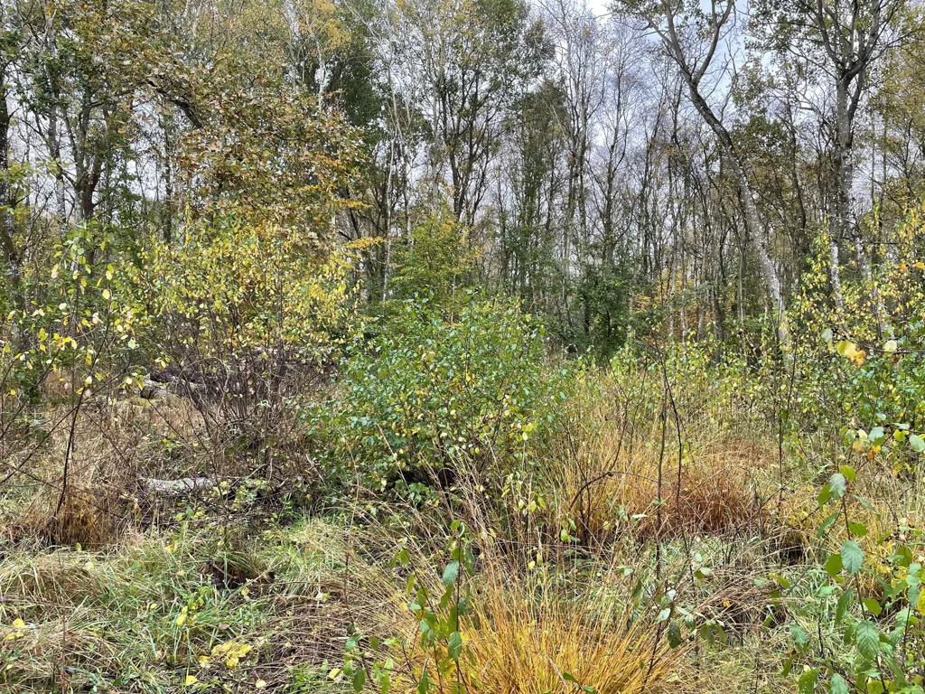 Aed - Vacation Plot with 4G Coverage in Hadsund