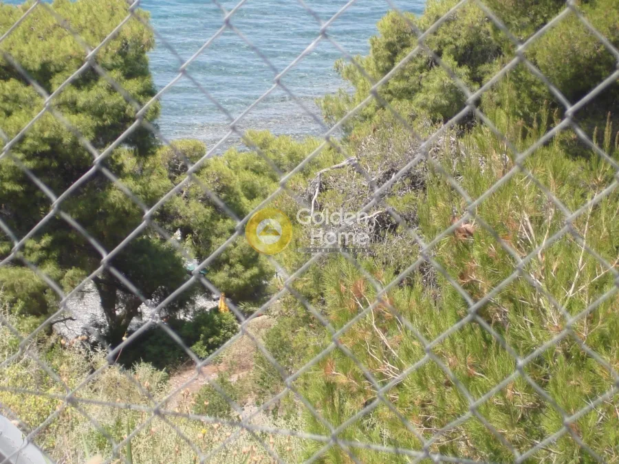 Garden - Plot with Sea View in Messapia - Nerotrivia