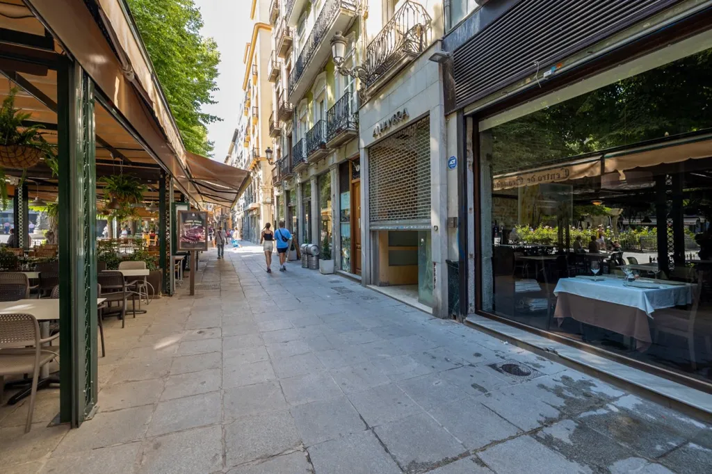Apartment with Plaza Views in Granada Centre