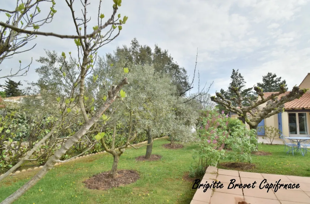 Aed - House with Pool in Saint-Maximin-la-Sainte-Baume