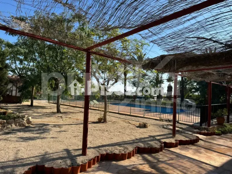 Piscine - Historic Villa with Archaeological Setting in Elche
