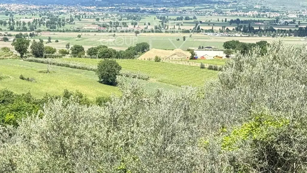 Aed - Rustic Farmhouse with Vineyard in Montefalco