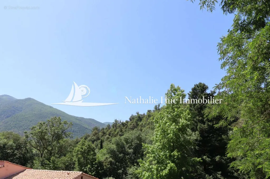 Jardin - Terrain à Bâtir avec Vue Dégagée à Arles-sur-Tech