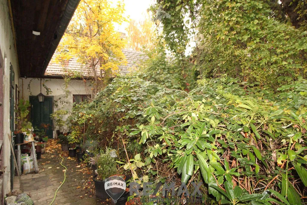 Giardino - Land Plot with Altbaumbestand in Aspern