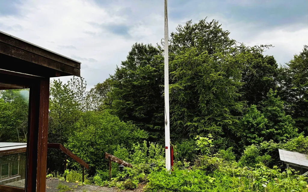 Aed - House with Forest View in Uhrhøj