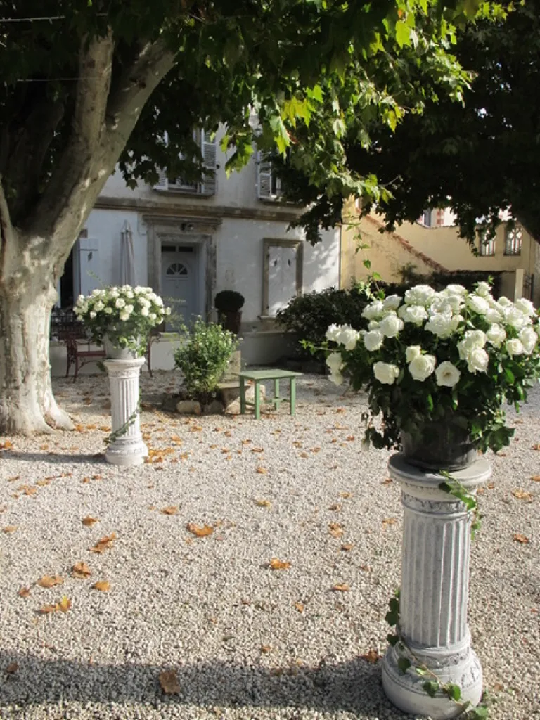 Jardin - Propriété pour Événementiel avec 10 Logements à Pernes-les-Fontaines