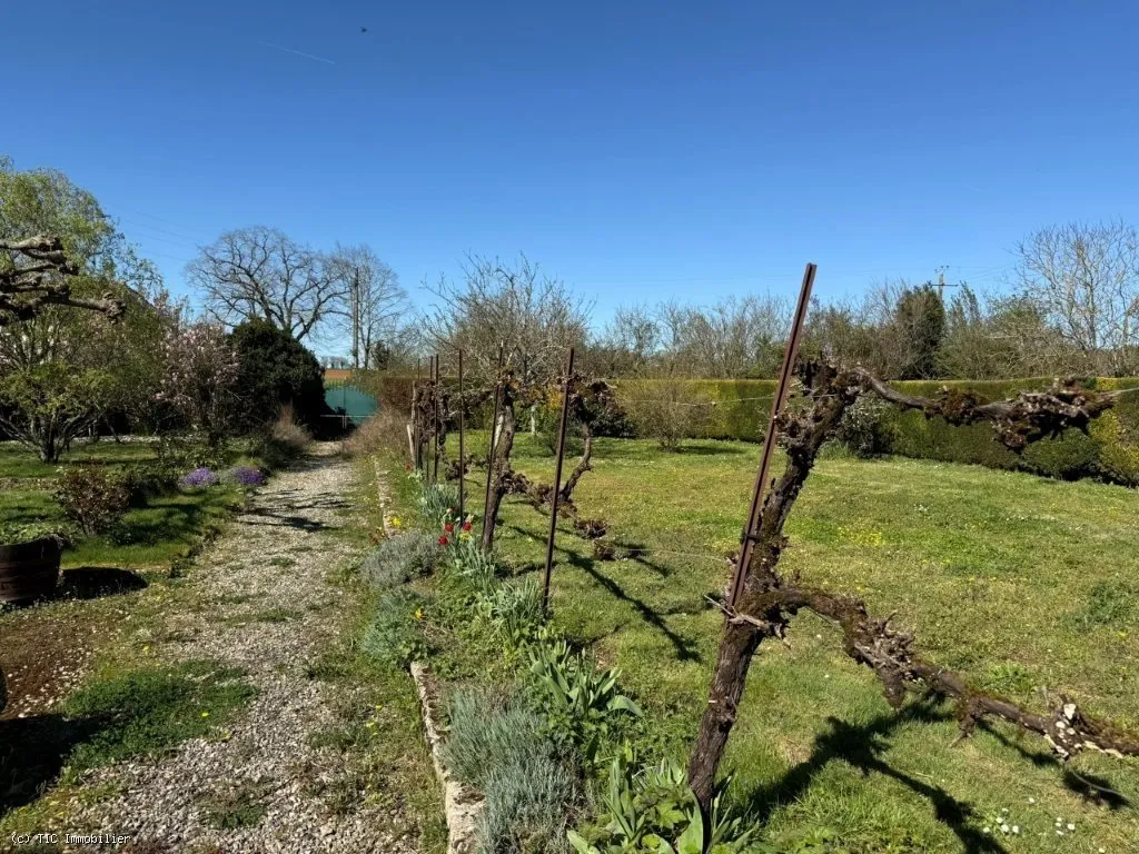 garden