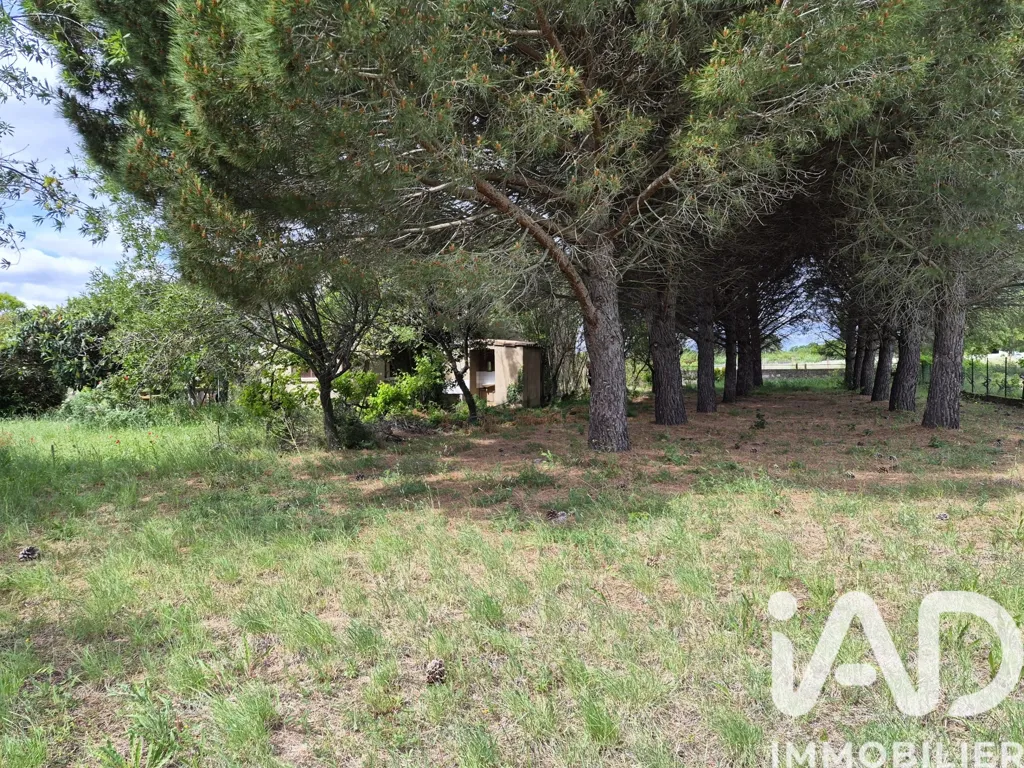 Giardino - House with Garden and Balcony in Pézenas