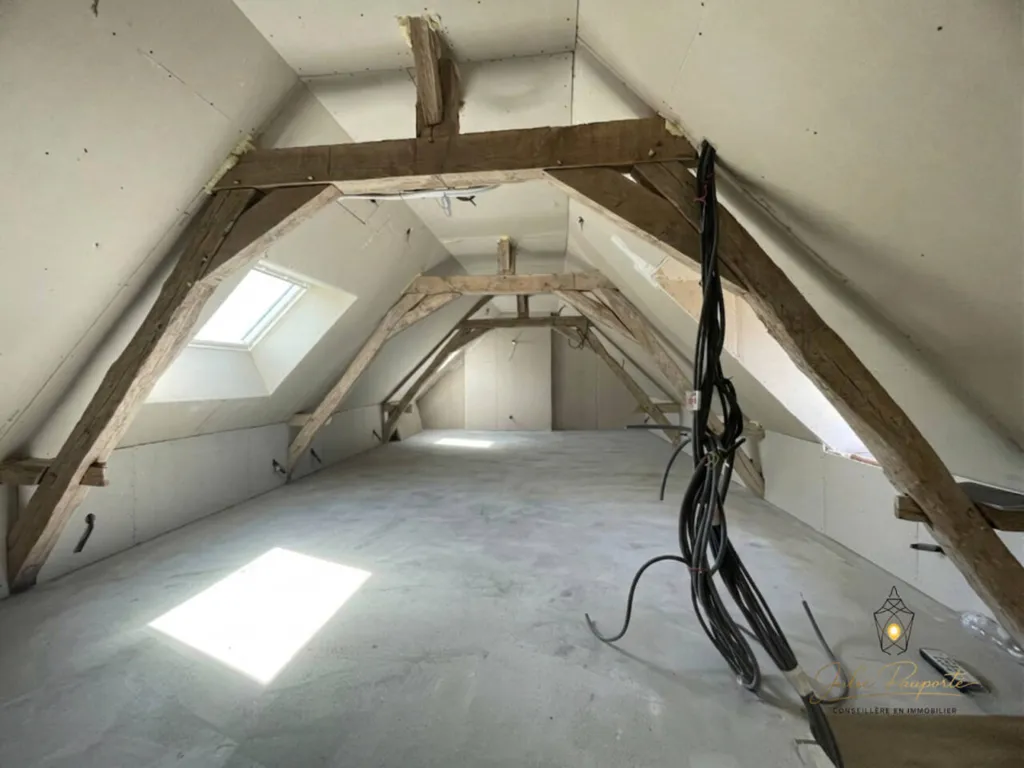Toad - Character House with Renovation Potential in Mormant-sur-Vernisson