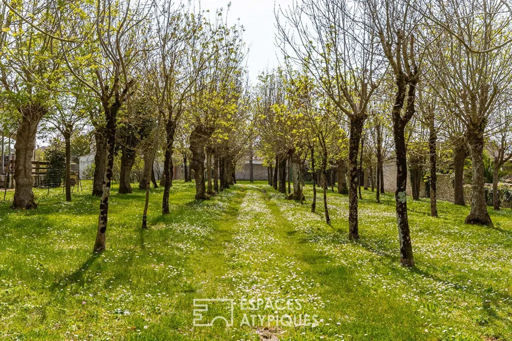 Jardin - Maison historique avec parc à Saint-Pierre-d’Oléron