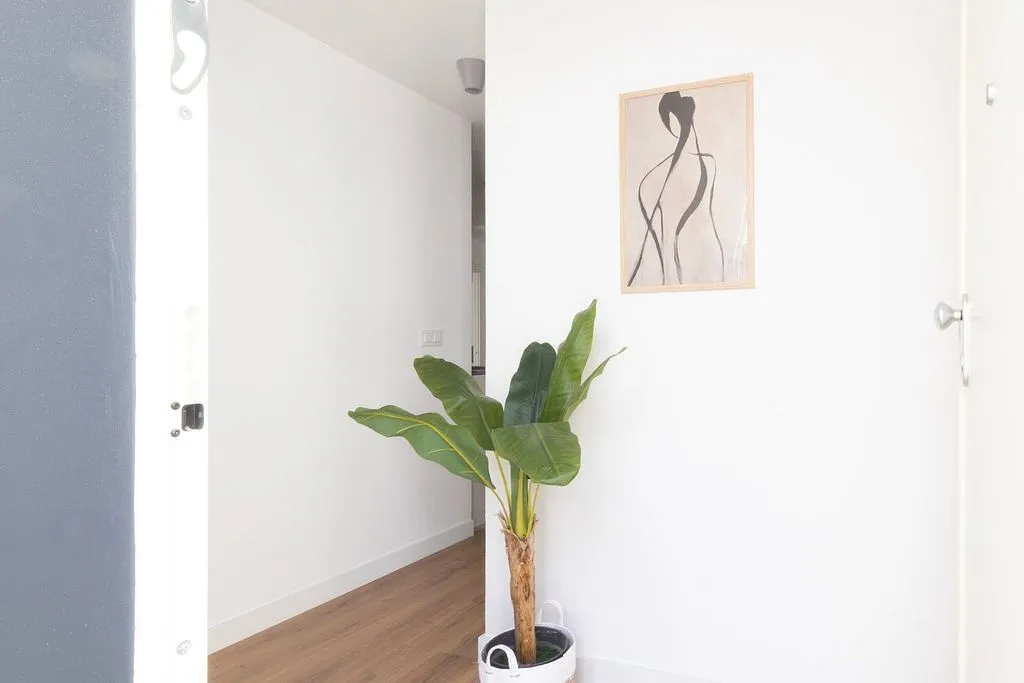 Entrée - New Flat with Pool in Triana, Sevilla
