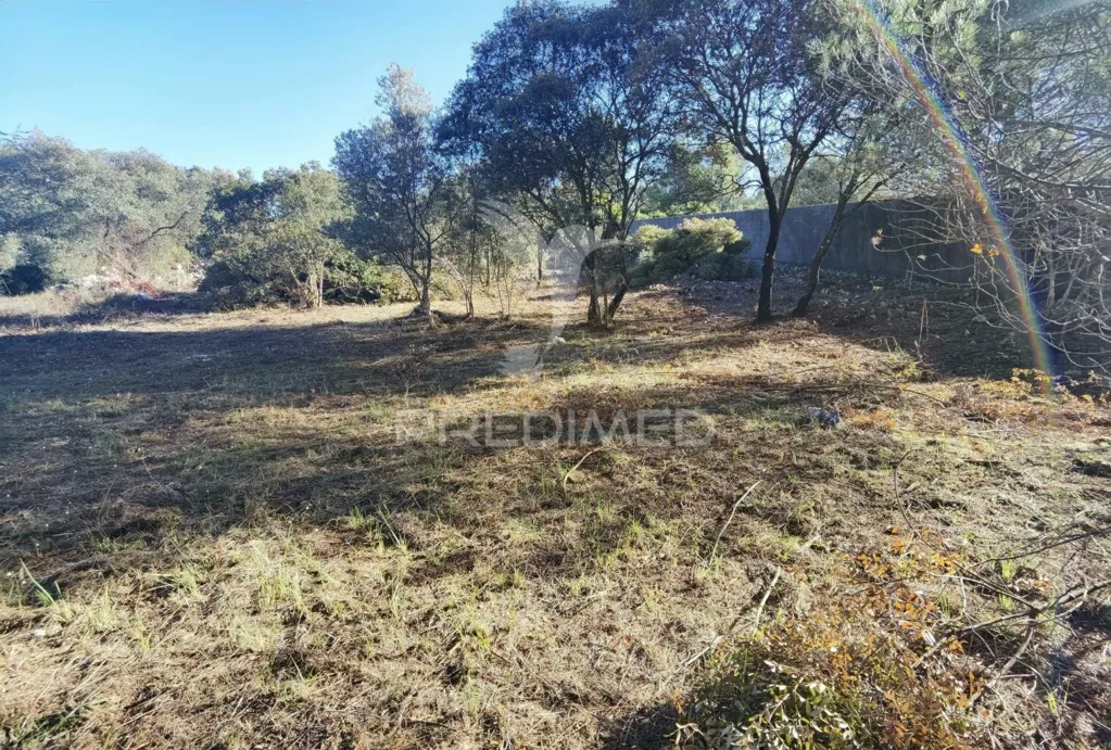 Aed - Urban Plot with Field View in Minde / Alcanena