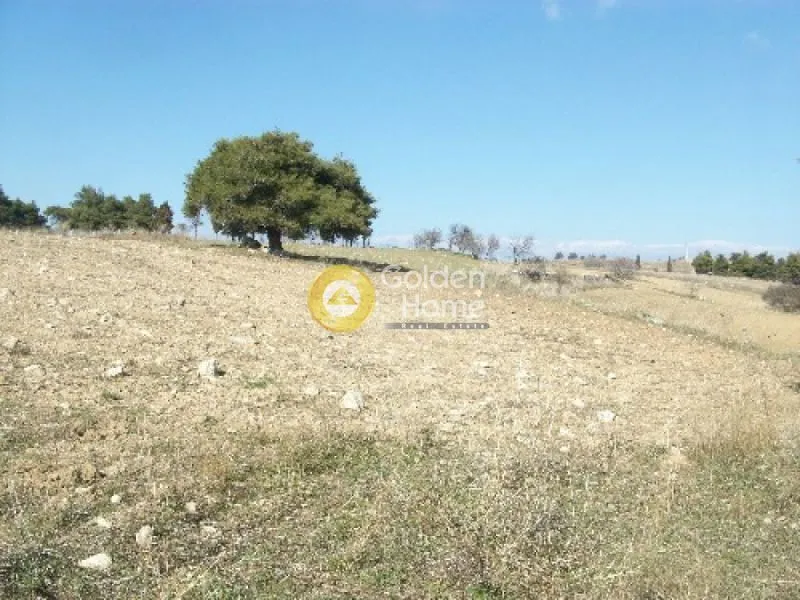 Aed - Plot with Garden in Eastern Attica