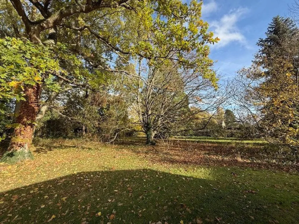 garden
