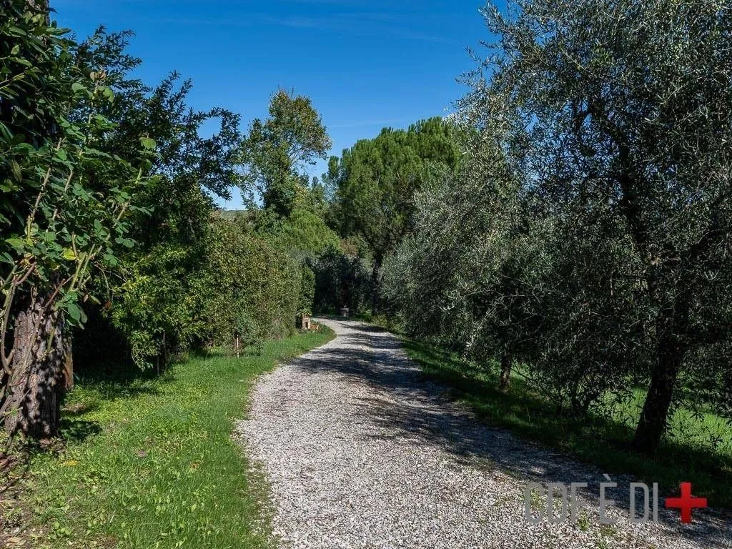 Aed - Country House with Orvieto Cliff View