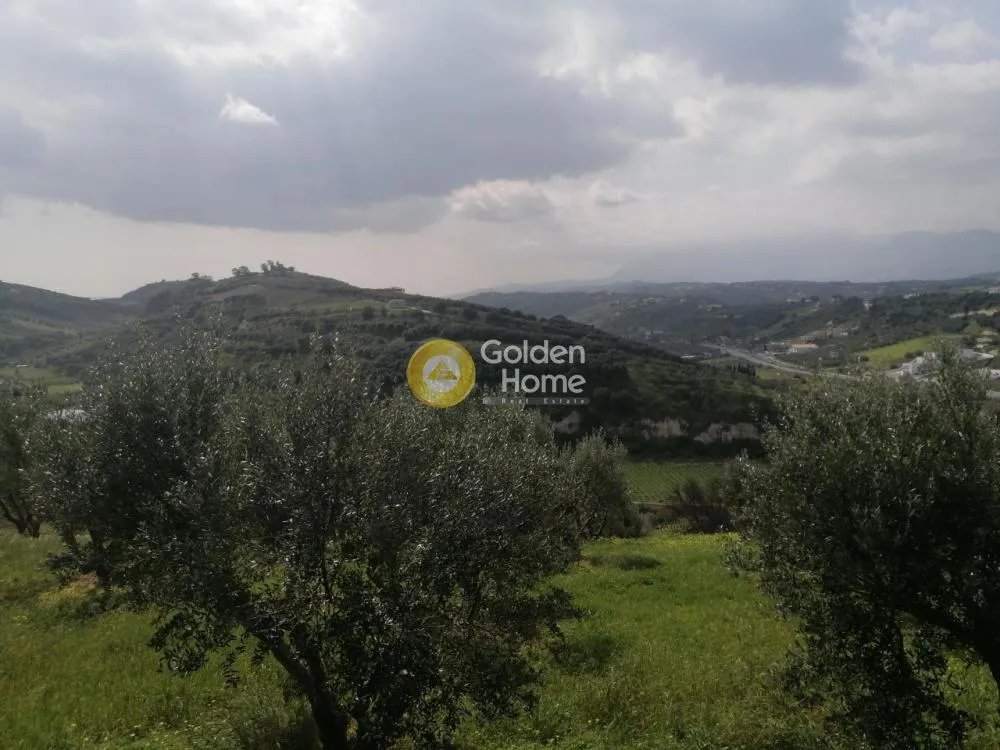 Aed - Agricultural Plot with Olive Trees in Temenos Centre